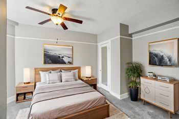 Ceiling fan*